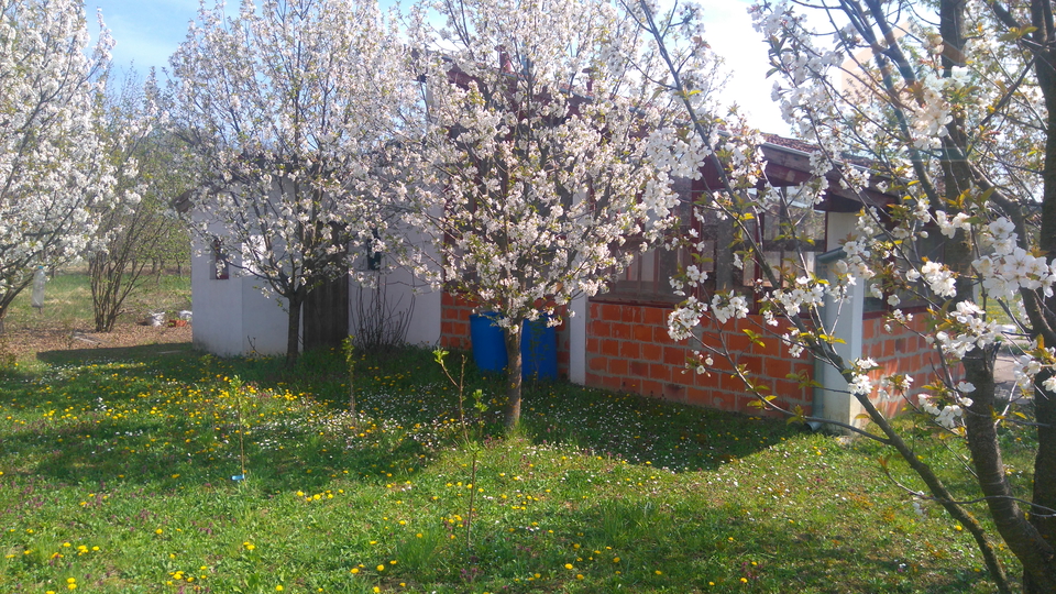 House, 65 m2, For Sale, Petrijevci