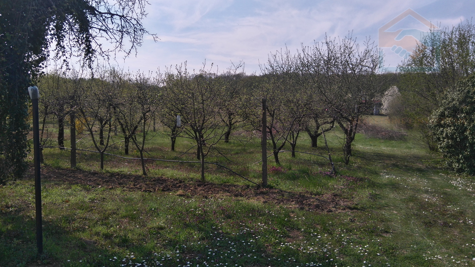 House, 65 m2, For Sale, Petrijevci