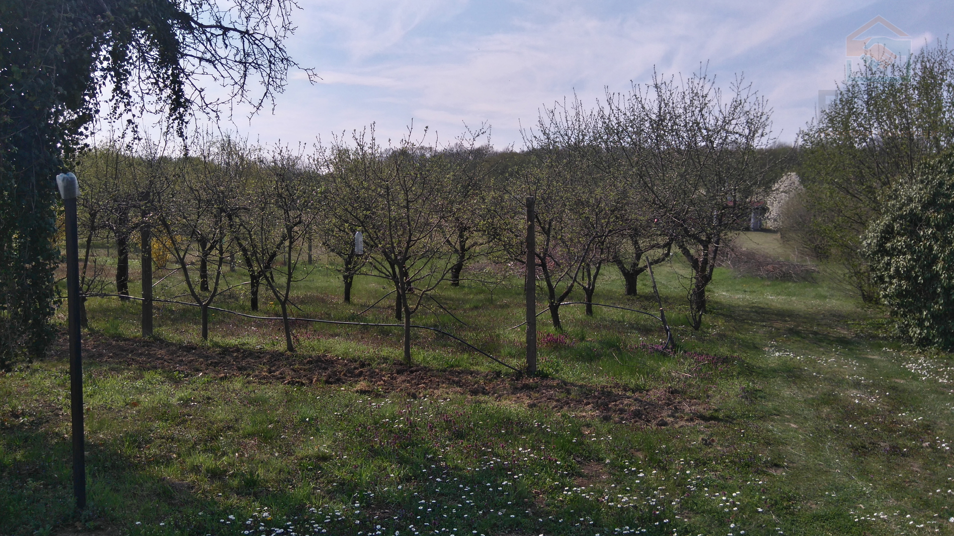 Kuća za odmor s voćnjakom