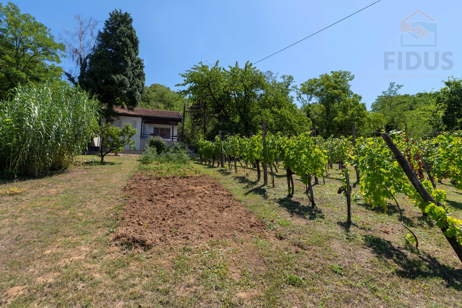 Stambeno poslovna nekretnina - Popovac/Baranja
