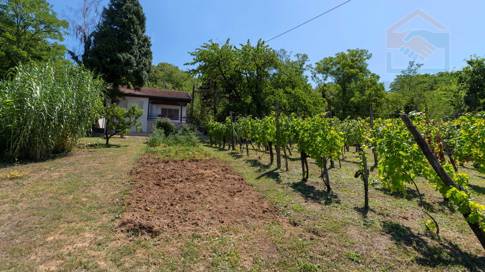House&comma; 255 m2&comma; For Sale&comma; Popovac