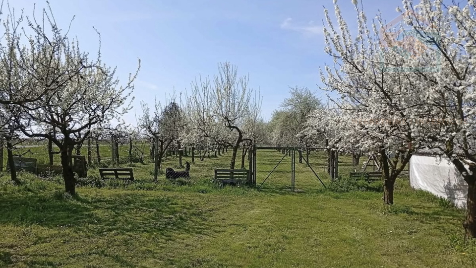 Terreno, 5200 m2, Vendita, Petrijevci