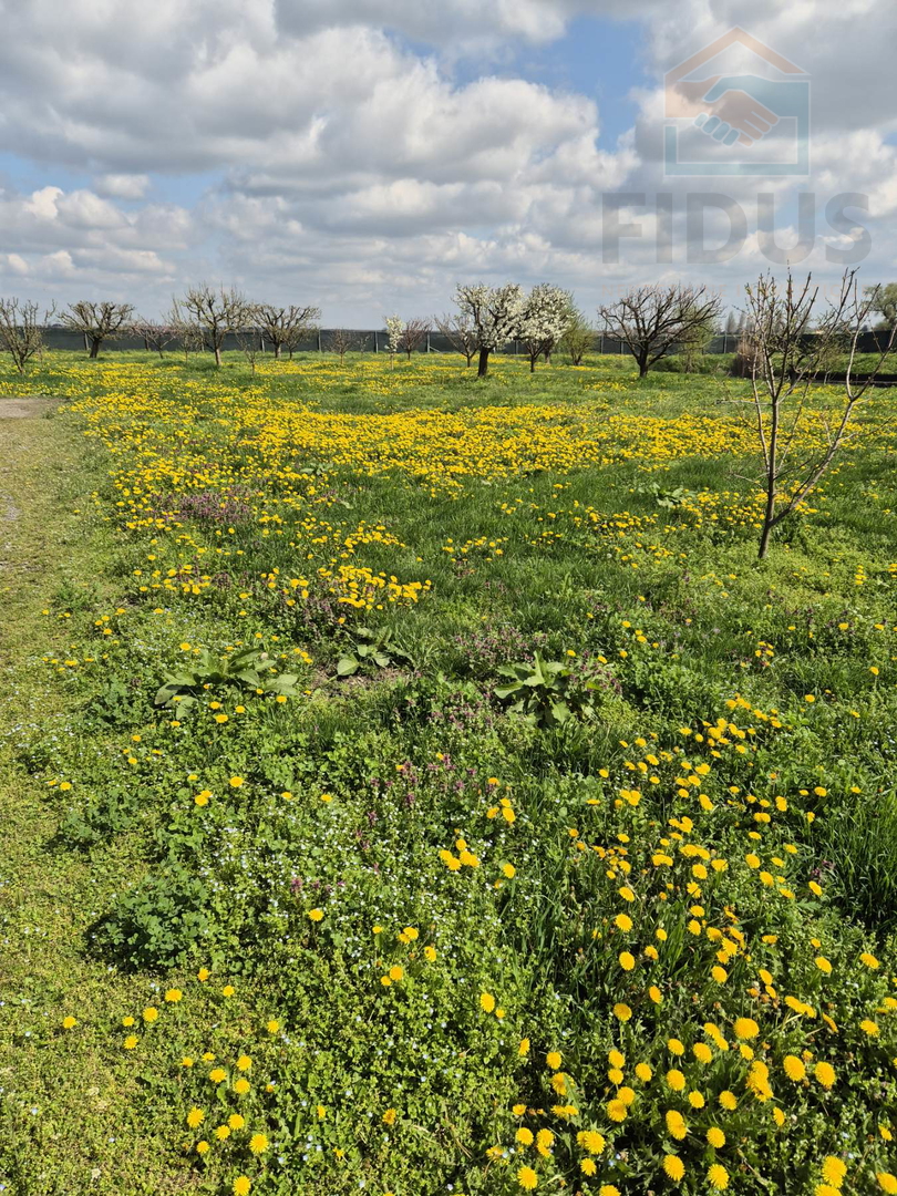 Gospodarska zgrada za poljoprivrednu namjenu -  Darda