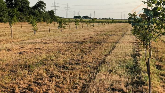 Land, 13184 m2, For Sale, Petrijevci