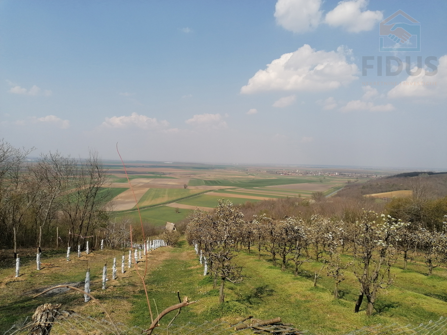 Stambeno poslovna nekretnina - Popovac/Baranja