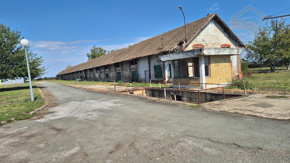 Commercial Property, 5000 m2, For Rent, Kneževo