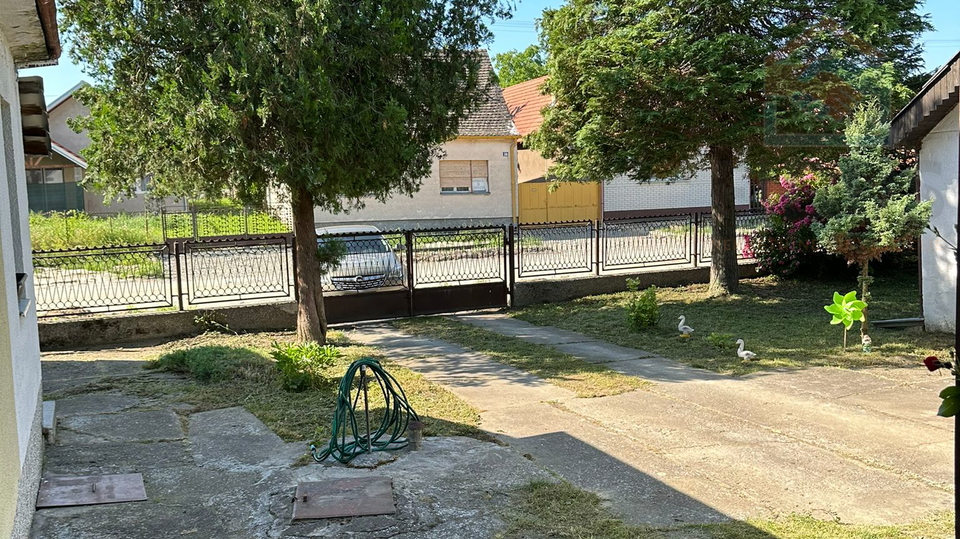 Kuća u Dardi s prostranim dvorištem + pomoćna zgrada