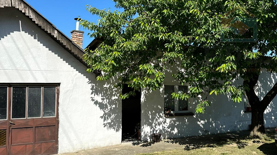 Kuća u Dardi s prostranim dvorištem + pomoćna zgrada