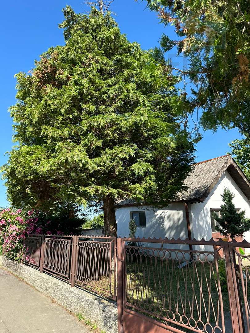 Kuća u Dardi s prostranim dvorištem + pomoćna zgrada