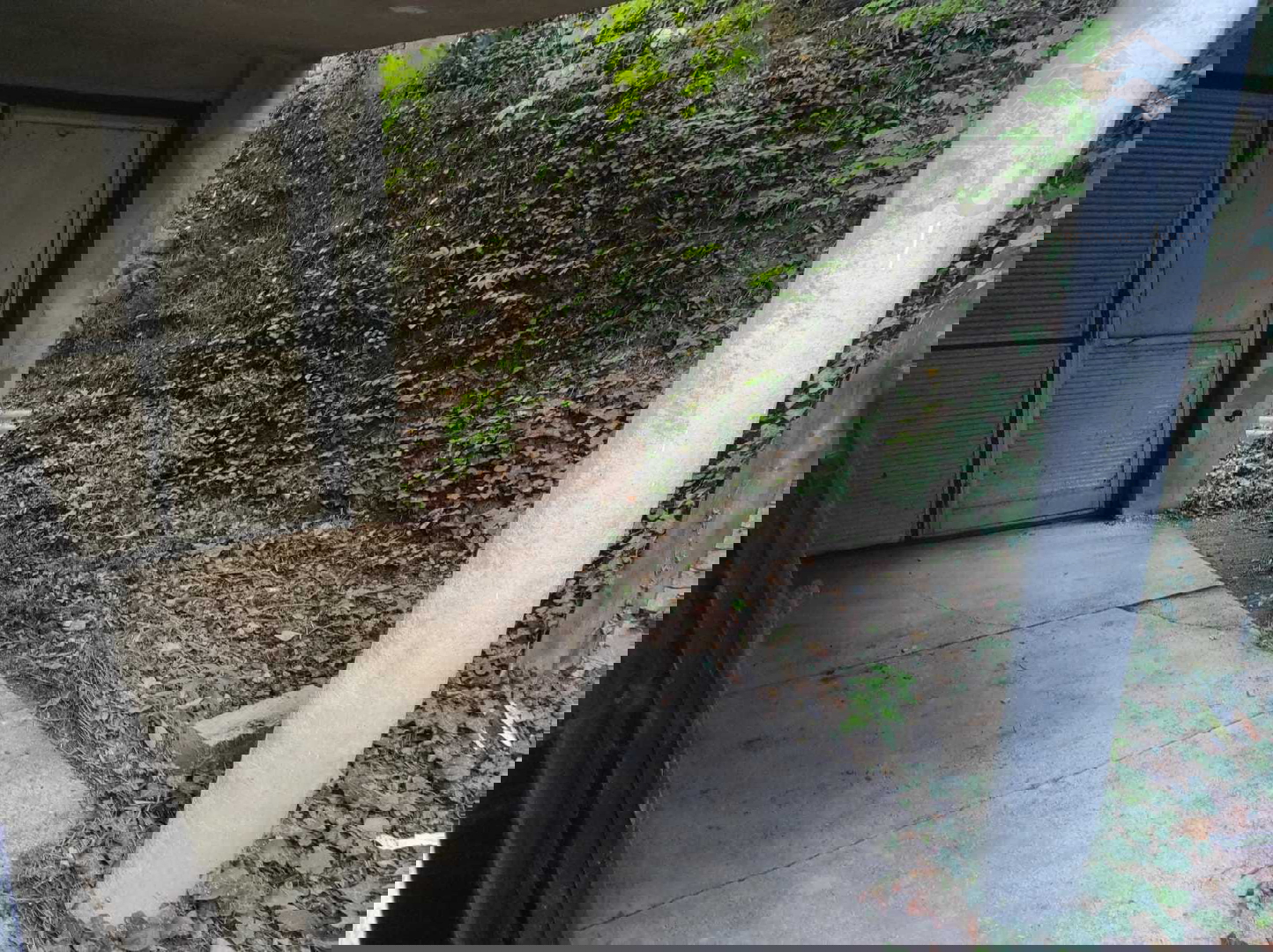 Kuća za odmor sa šumom i voćnjakom