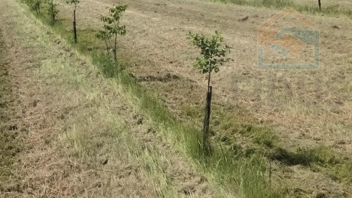 Land&comma; 13184 m2&comma; For Sale&comma; Petrijevci