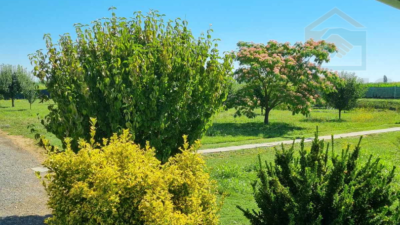 Land, 52895 m2, For Sale, Darda