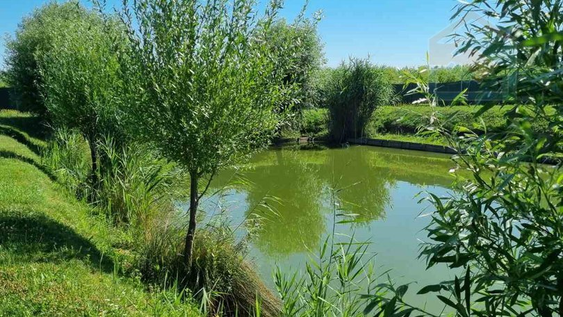 Land, 52895 m2, For Sale, Darda