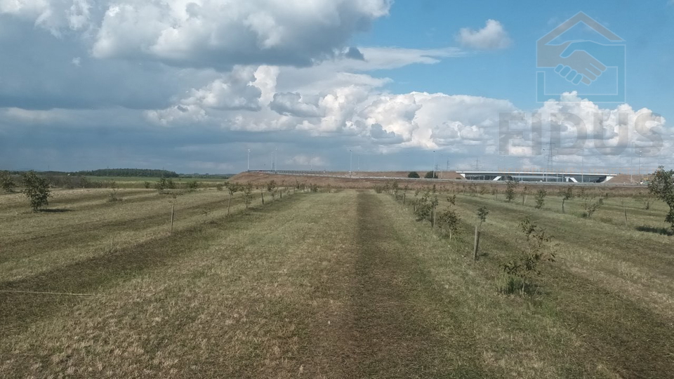 Terreno&comma; 14787 m2&comma; Vendita&comma; Petrijevci