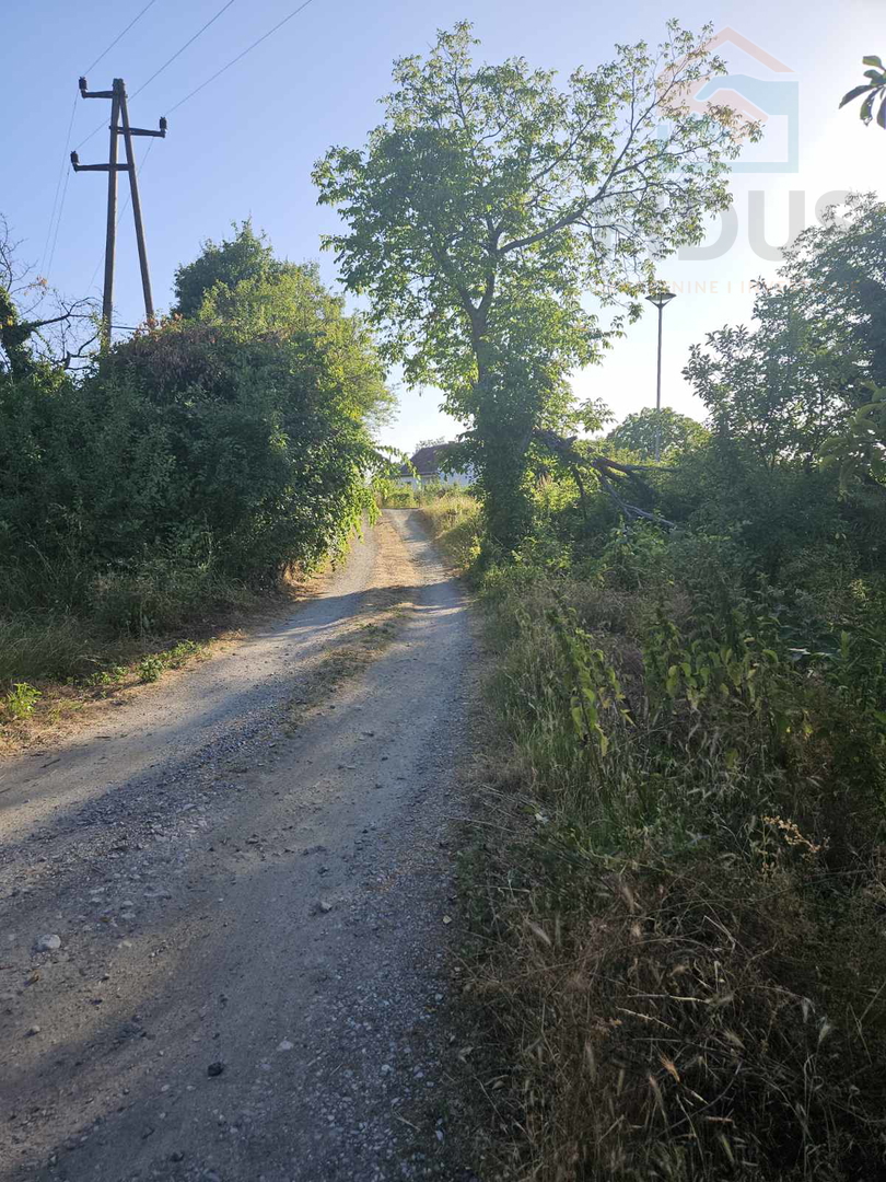 Batina - vikendicom s gatorom