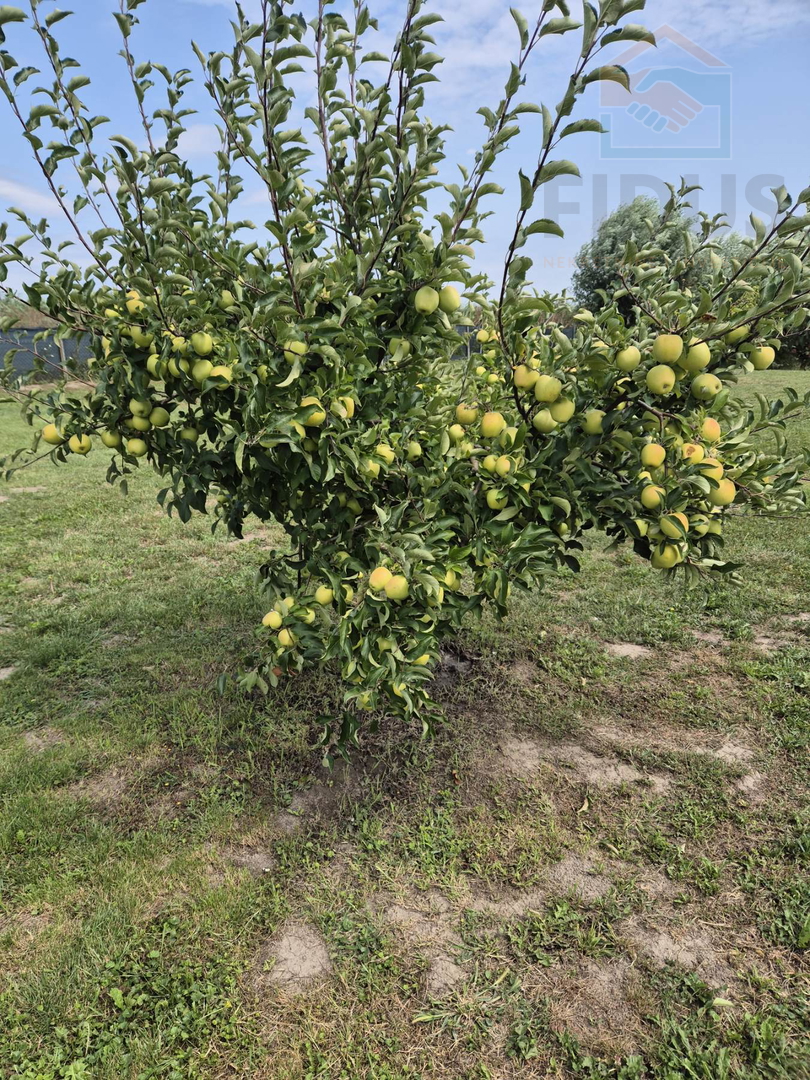 Gospodarska zgrada za poljoprivrednu namjenu -  Darda