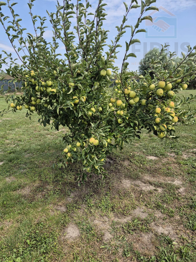 Gospodarska zgrada za poljoprivrednu namjenu  - Darda