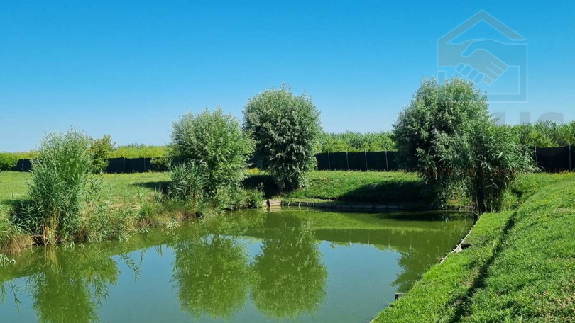 Land, 52895 m2, For Sale, Darda