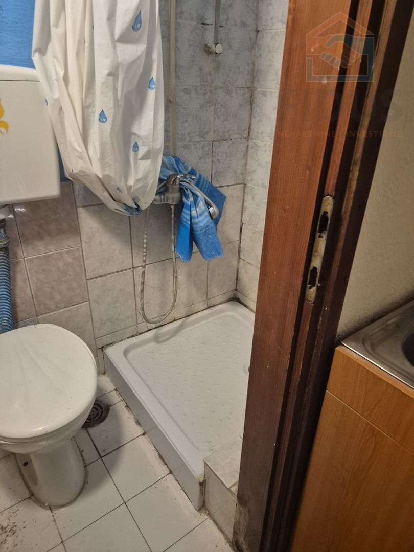 Kuća + dvorišni stan + lokal