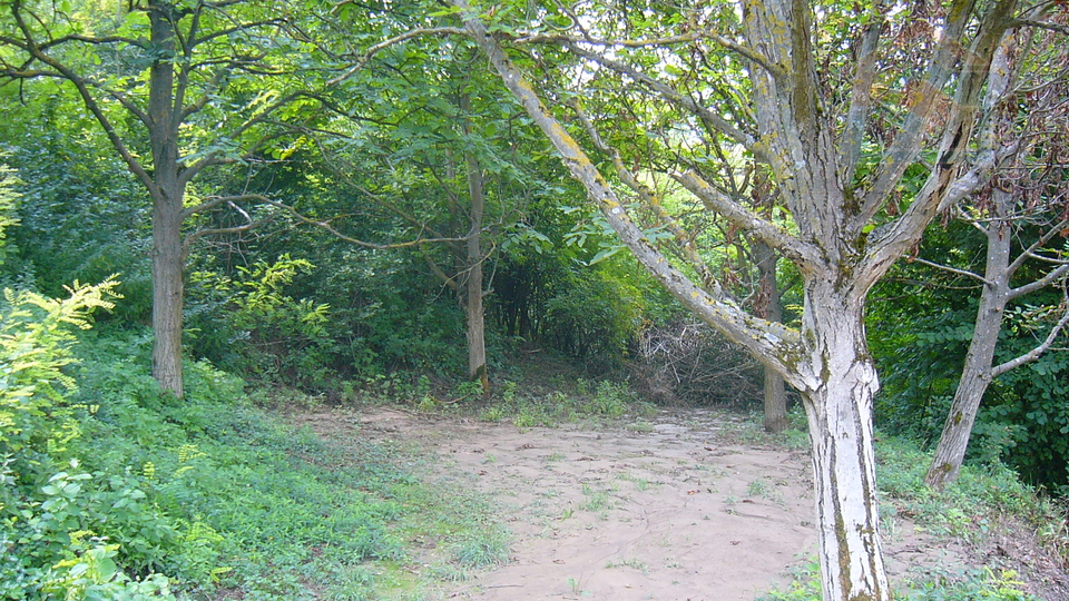 Land&comma; 2174 m2&comma; For Sale&comma; Aljma&scaron;