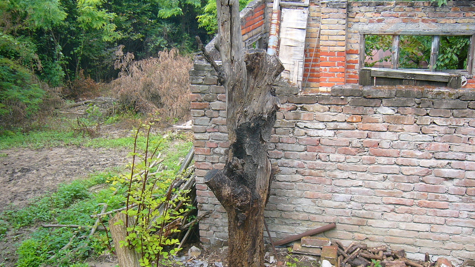 Land&comma; 2174 m2&comma; For Sale&comma; Aljma&scaron;