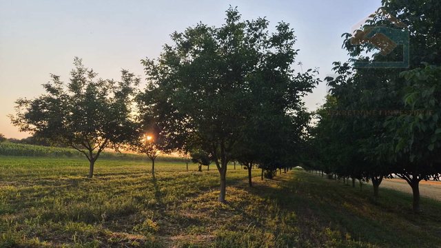 Terreno, 4892 m2, Vendita, Osijek - Tenja