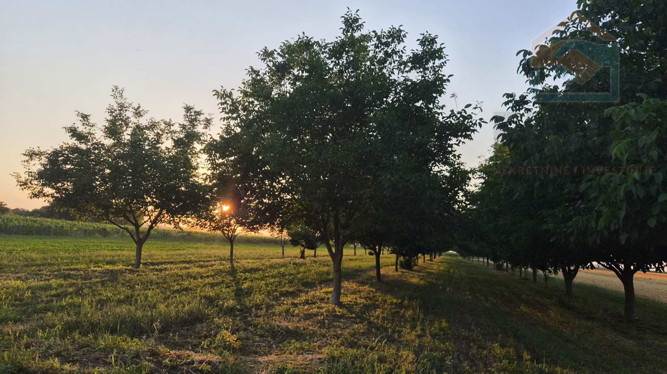 Land&comma; 4892 m2&comma; For Sale&comma; Osijek - Tenja