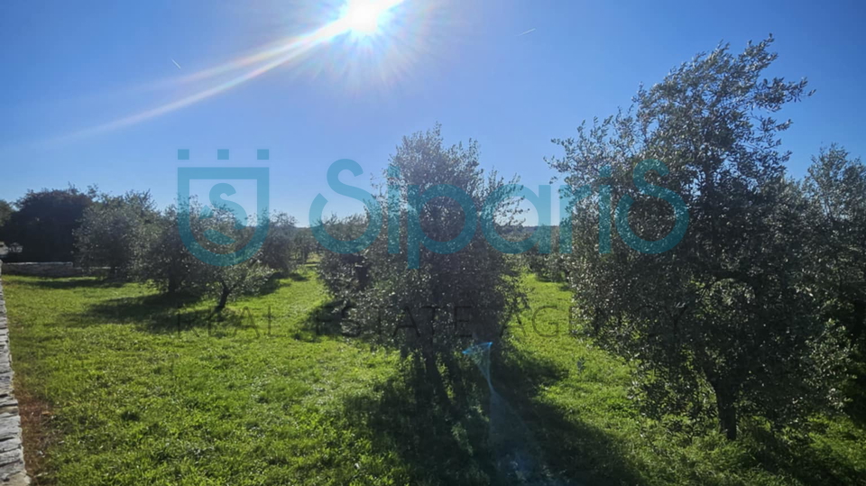 Grundstück, 8056 m2, Verkauf, Umag - Murine