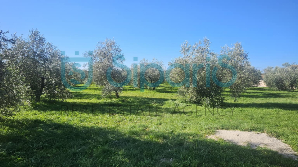 Grundstück, 8056 m2, Verkauf, Umag - Murine