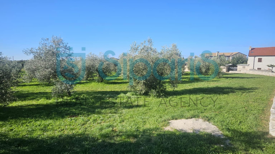 Grundstück, 8056 m2, Verkauf, Umag - Murine