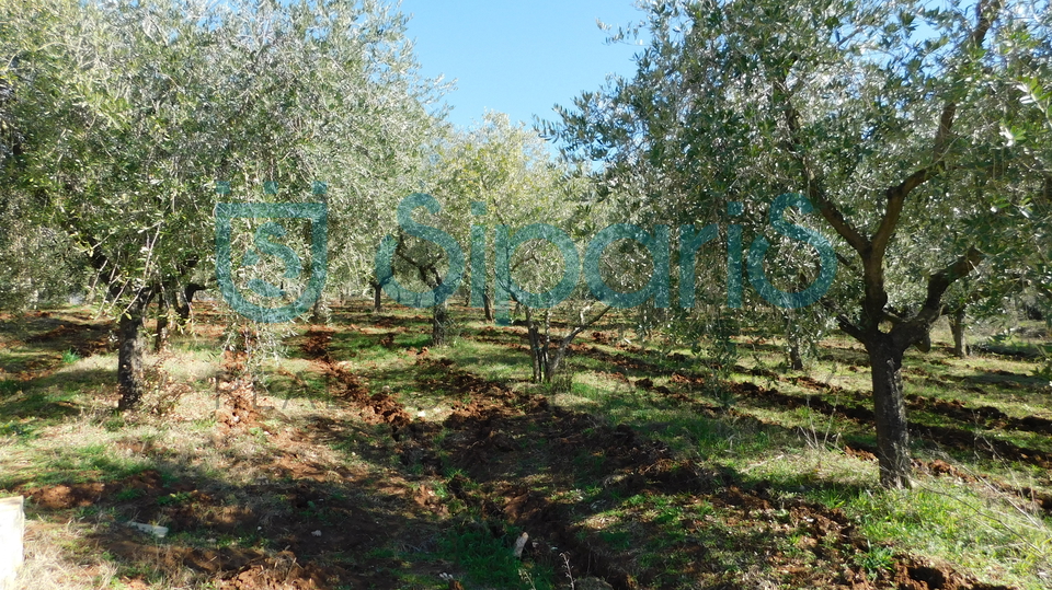 BUJE KAŠTEL BUILDING LAND