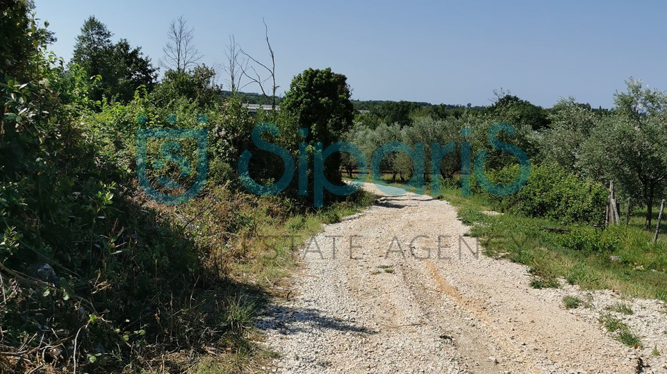 Land, 3618 m2, For Sale, Brtonigla