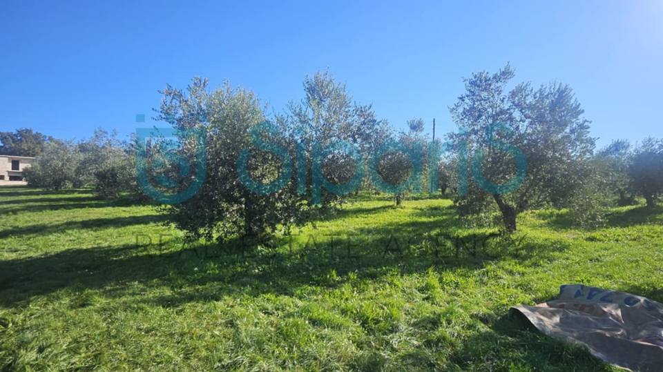 Grundstück, 8056 m2, Verkauf, Umag - Murine