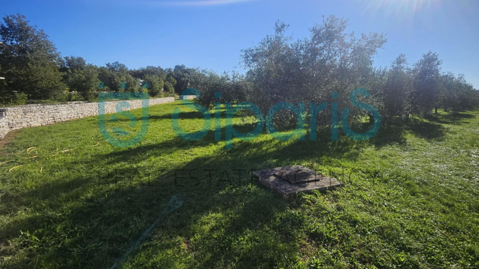 Grundstück, 8056 m2, Verkauf, Umag - Murine