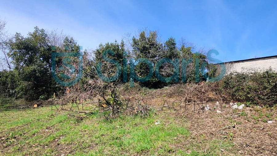 NOVIGRAD SURROUNDINGS BUILDING LAND 698M2