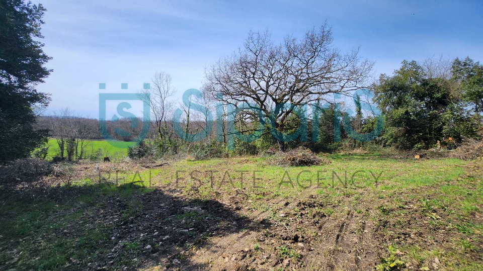 NOVIGRAD SURROUNDINGS BUILDING LAND 698M2