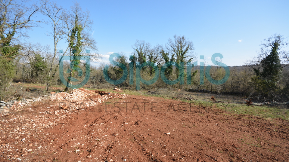 Building plot in Grožnjan surroundings 1186m2