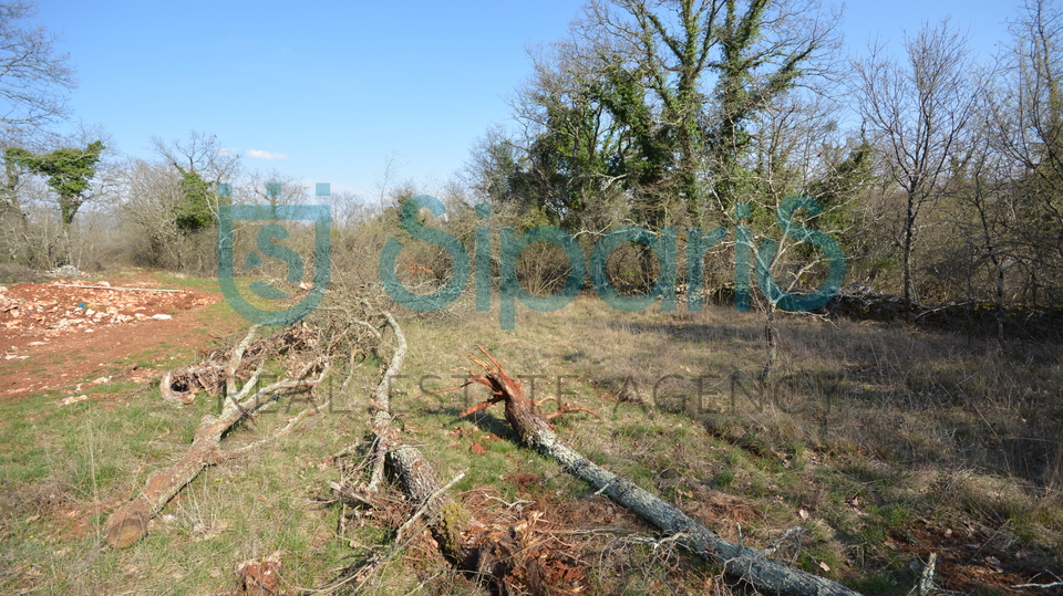 Building plot in Grožnjan surroundings 1186m2