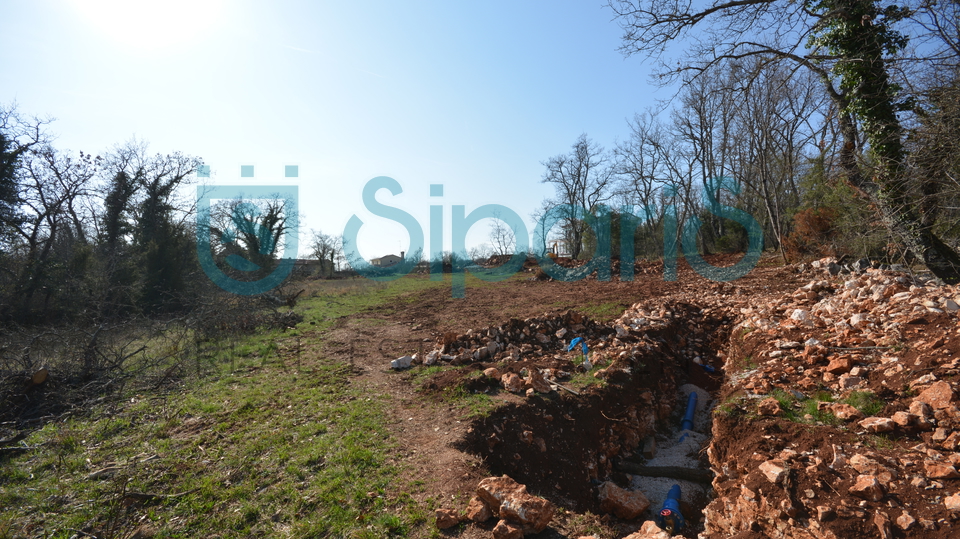 Building plot in Grožnjan surroundings 1186m2