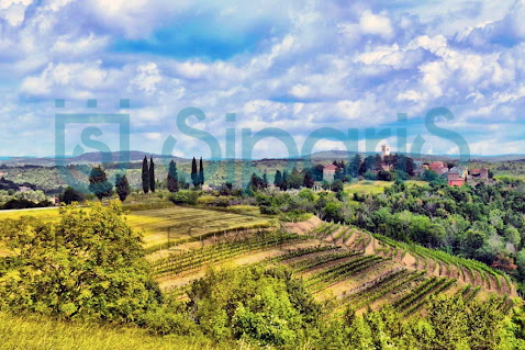 OPRTALJ, SURROUNDING BUILDING AND AGRICULTURAL LAND