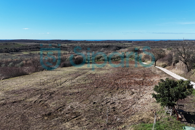 BUJE GRAĐEVINSKO ZEMLJIŠTE 1032M sa prekrasnim pogledom