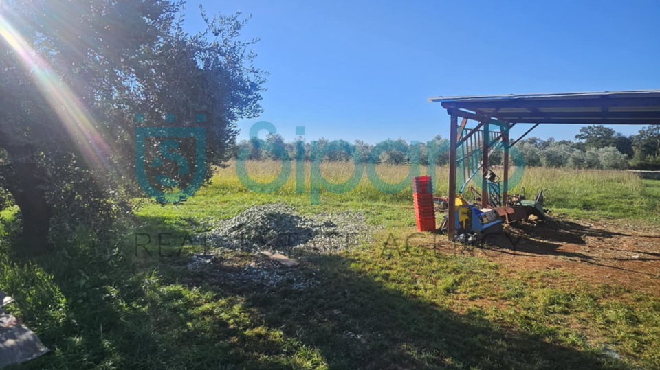 Grundstück, 8056 m2, Verkauf, Umag - Murine