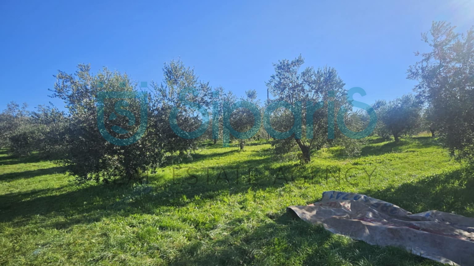 Grundstück, 8056 m2, Verkauf, Umag - Murine