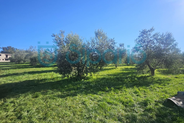 Grundstück, 8056 m2, Verkauf, Umag - Murine