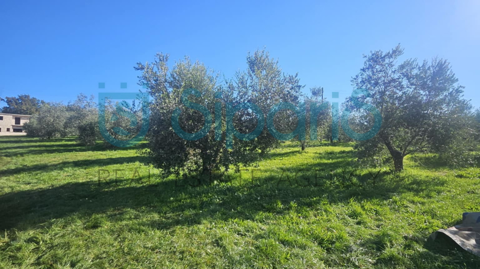 Grundstück, 8056 m2, Verkauf, Umag - Murine