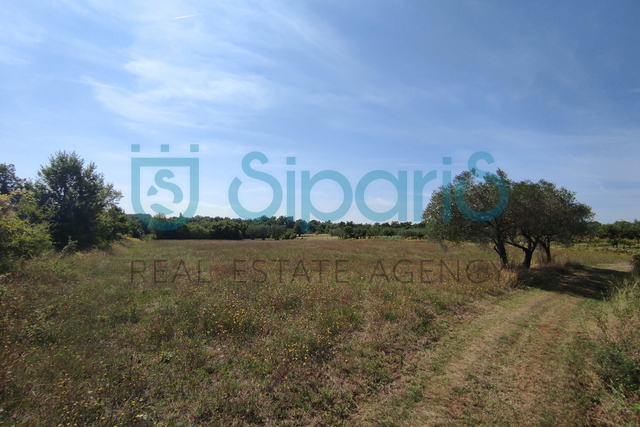 Land, 6312 m2, For Sale, Sveti Lovreč - Lakovići