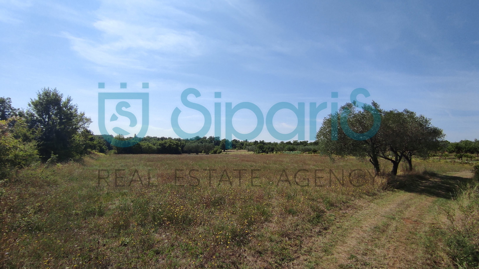 Land, 6312 m2, For Sale, Sveti Lovreč - Lakovići