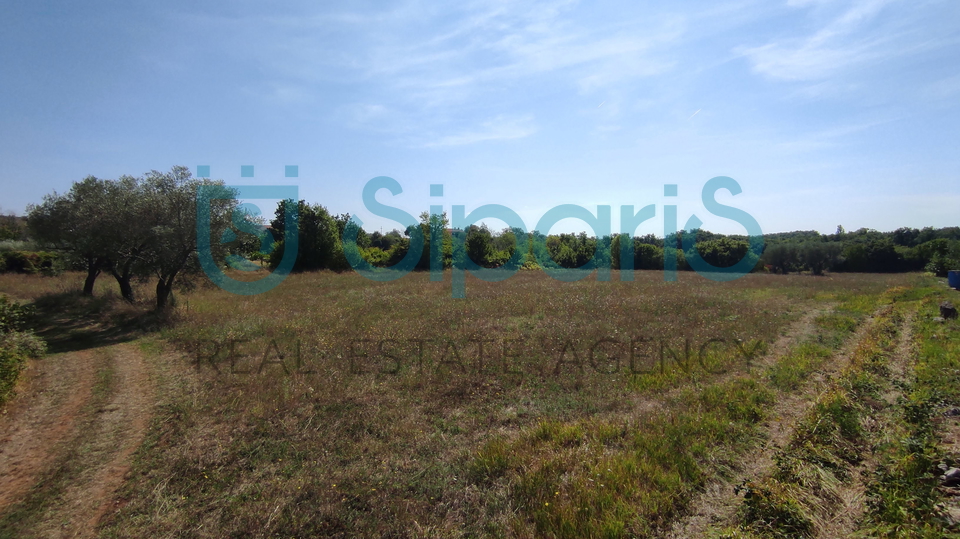 Land, 6312 m2, For Sale, Sveti Lovreč - Lakovići