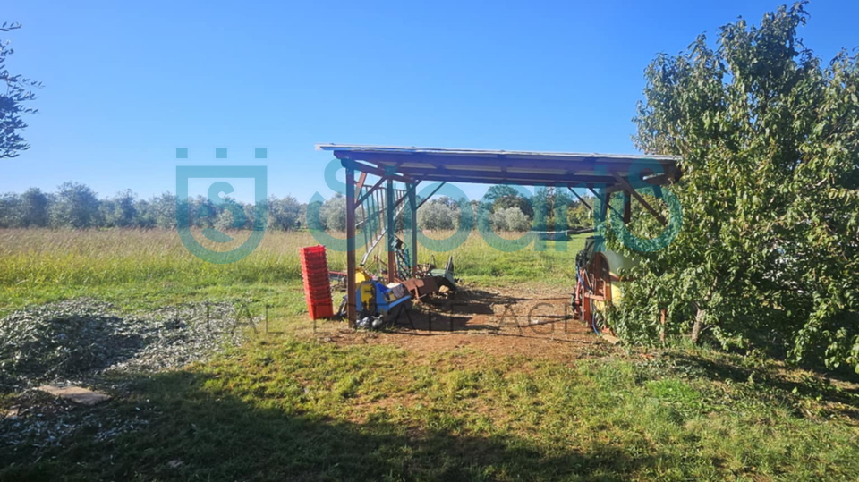 Grundstück, 8056 m2, Verkauf, Umag - Murine