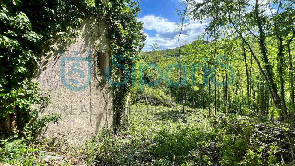 Haus, 185 m2, Verkauf, Motovun - Kaldir